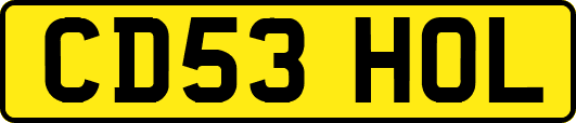 CD53HOL