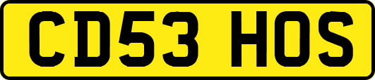 CD53HOS