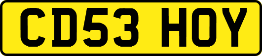 CD53HOY