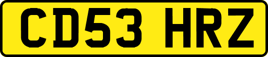 CD53HRZ