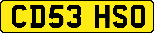 CD53HSO