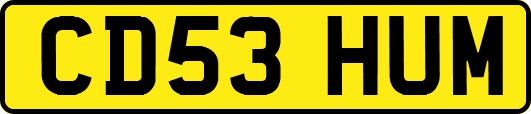 CD53HUM