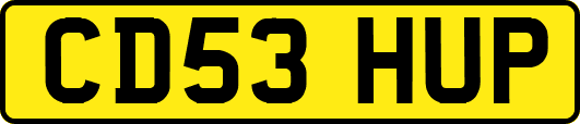 CD53HUP