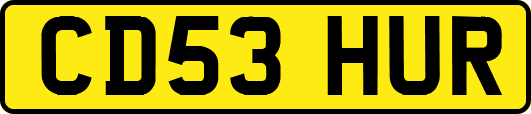 CD53HUR