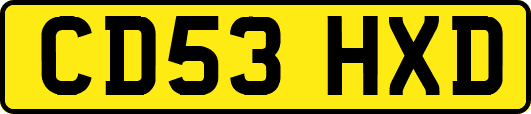 CD53HXD