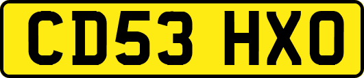 CD53HXO