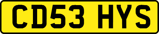 CD53HYS