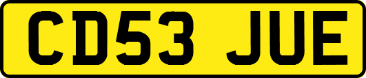 CD53JUE