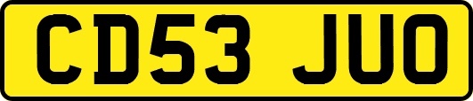 CD53JUO