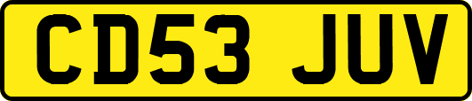 CD53JUV