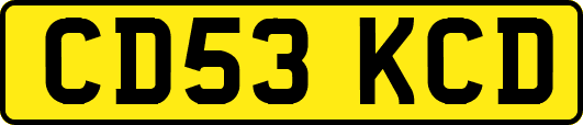 CD53KCD
