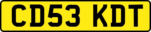 CD53KDT