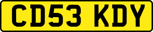 CD53KDY