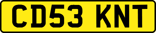 CD53KNT