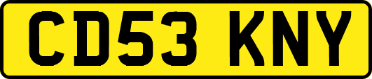 CD53KNY