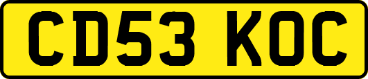 CD53KOC