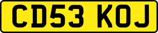 CD53KOJ