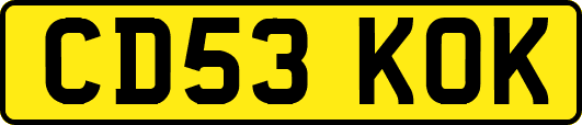 CD53KOK