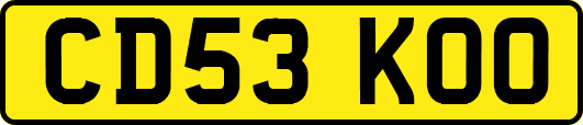 CD53KOO