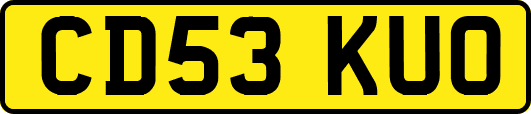 CD53KUO