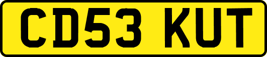 CD53KUT