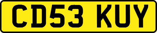 CD53KUY