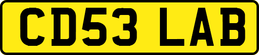 CD53LAB