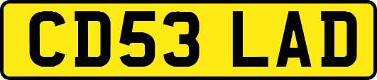 CD53LAD
