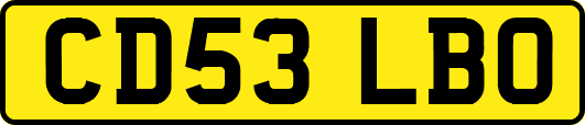 CD53LBO