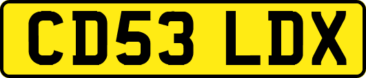 CD53LDX