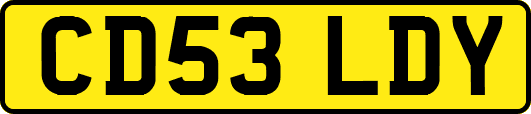 CD53LDY