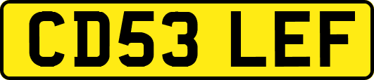 CD53LEF