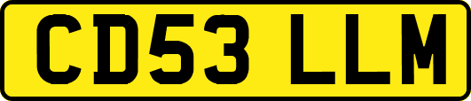 CD53LLM