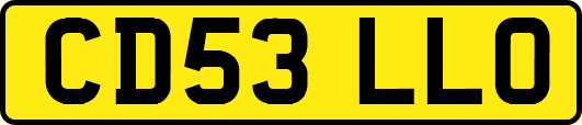 CD53LLO