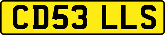 CD53LLS