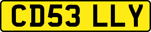 CD53LLY