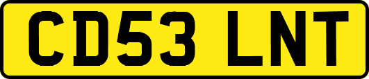 CD53LNT