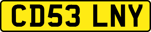 CD53LNY