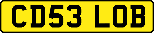 CD53LOB