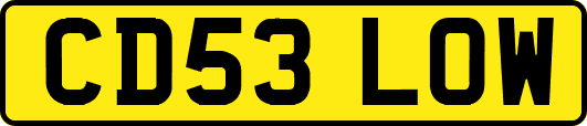 CD53LOW