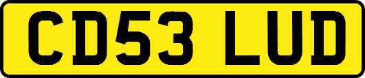 CD53LUD