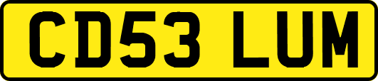 CD53LUM