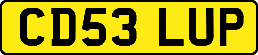 CD53LUP