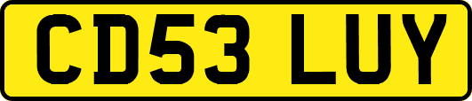 CD53LUY