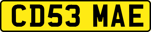 CD53MAE