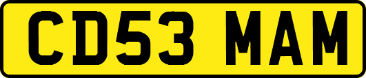 CD53MAM