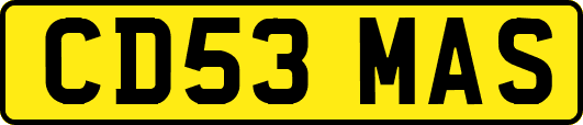 CD53MAS