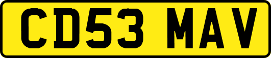 CD53MAV