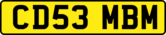 CD53MBM