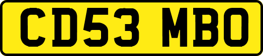 CD53MBO